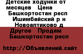 Детские ходунки от 6-7 месяцев › Цена ­ 2 500 - Башкортостан респ., Ишимбайский р-н, Новоаптиково д. Другое » Продам   . Башкортостан респ.